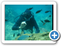 Diving in Gozo