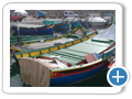 gozitan boats
