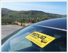 car rental mayjo