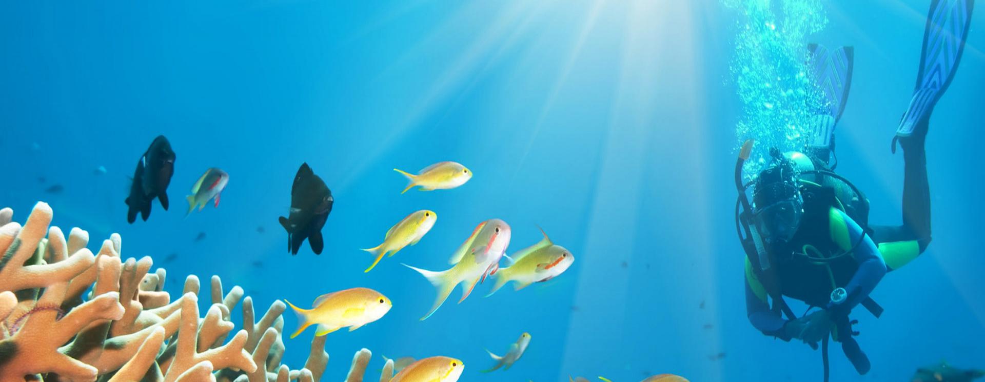 top-dive-sites-in-gozo